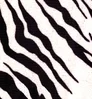 Zebra Coverking Dash Cover