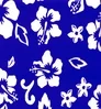 Hawaiian Blue Coverking Dash Cover