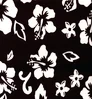 Hawaiian Black Hawaiian Black