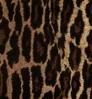 Leopard Coverking Dash Cover