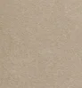 Beige Beige