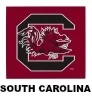 South Carolina College Seat Covers