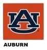 Auburn College Seat Covers