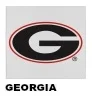 Georgia College Seat Covers