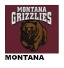 Montana College Seat Covers