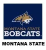 montana-state College Seat Covers