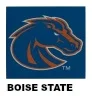 Boise State College Seat Covers