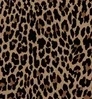Leopard Coverking Car Seat Covers