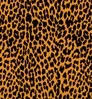 Cheetah Coverking Car Seat Covers