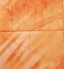 Real Tree Fishing Pattern Light Orange