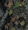 Mossy Oak Break Up Coverking Dash Cover