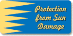 Dashmat Protection